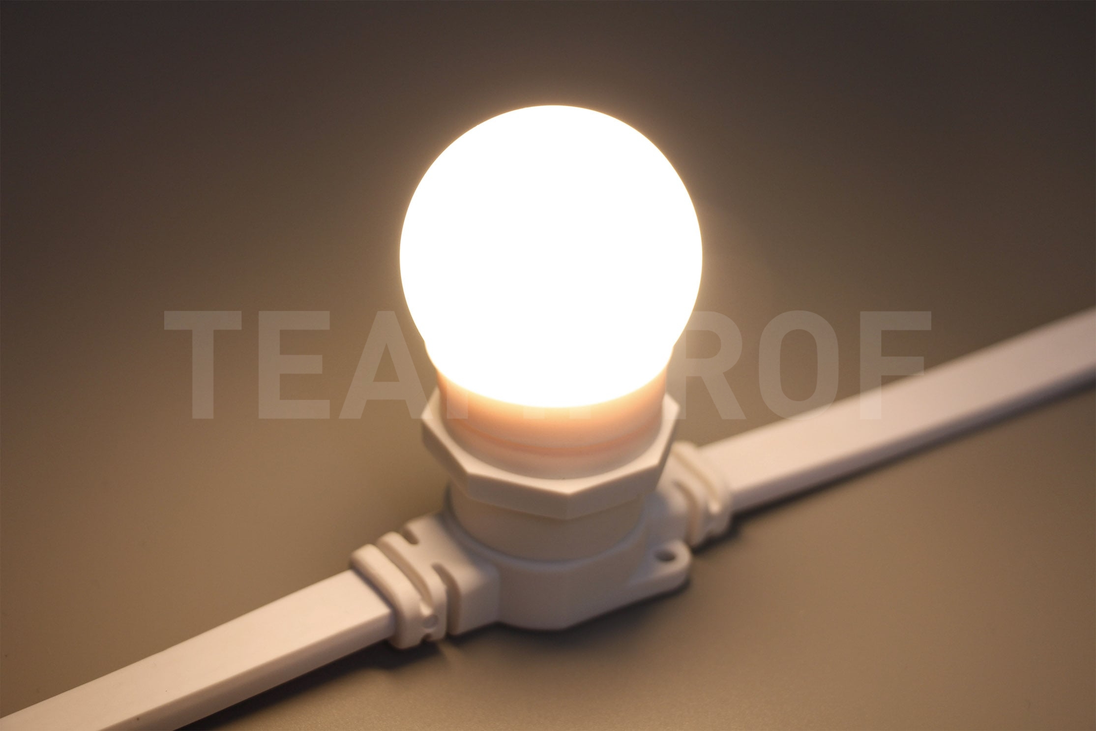 Светодиодная лампа для Белт-лайта TeamProf, 2 Вт, цоколь Е27, d=45 мм, тёплая белая TPF-B-E27-G45-2W-WW