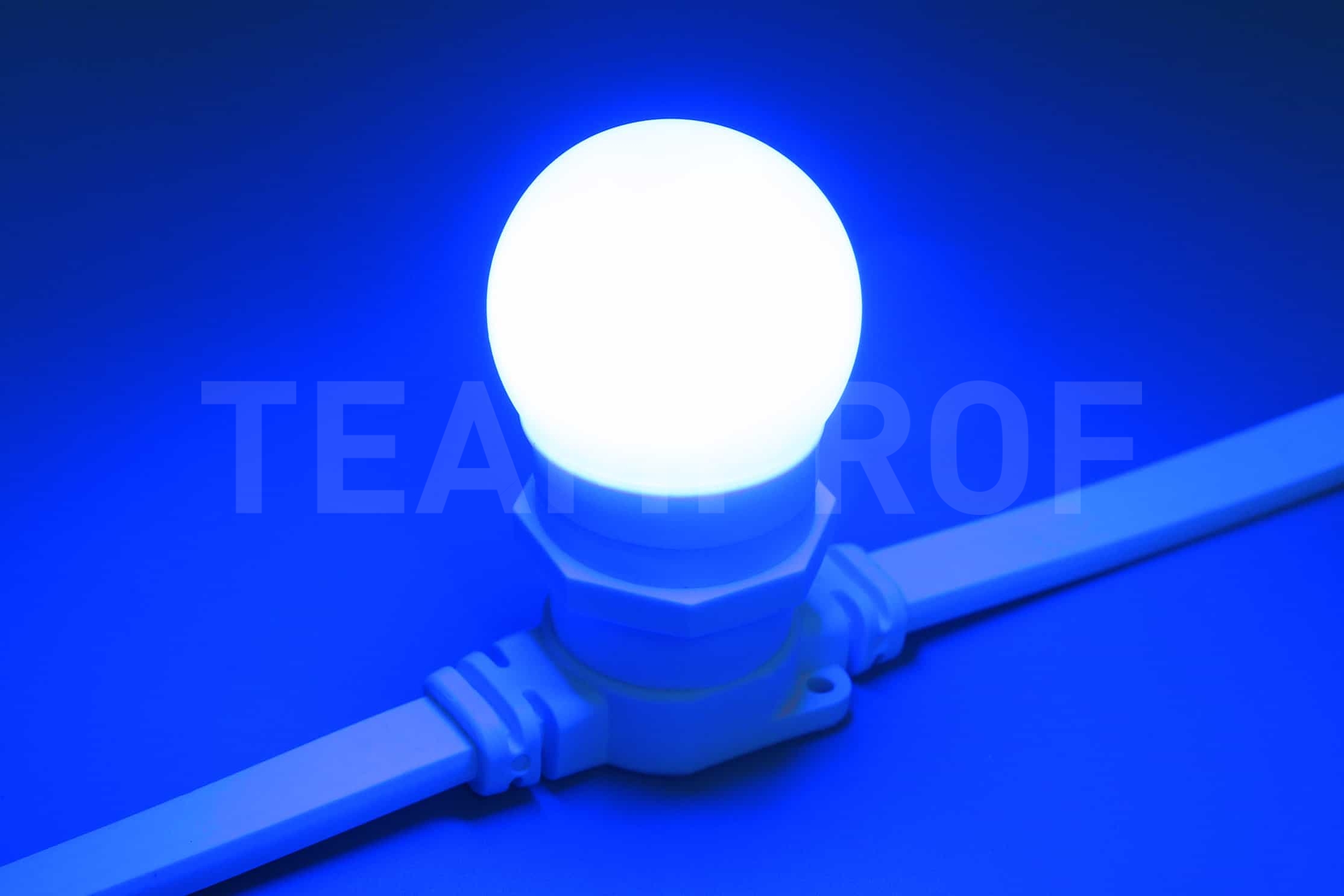 Светодиодная лампа для Белт-лайта TeamProf, 2 Вт, цоколь Е27, d=45 мм, синяя TPF-B-E27-G45-2W-B