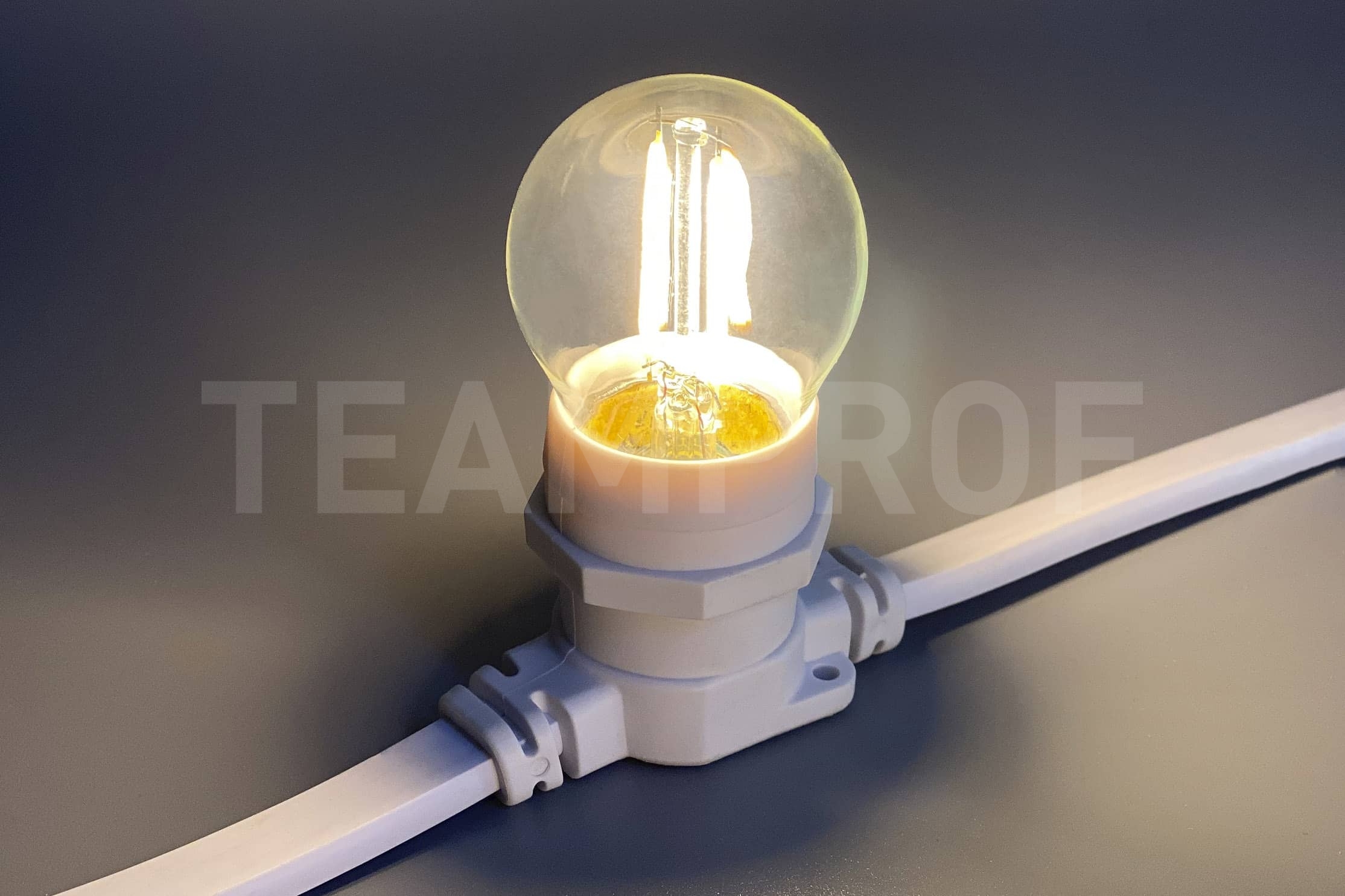 Светодиодная лампа для Белт-лайта TeamProf, 2 Вт, цоколь Е27, d=45 мм, филамент, тёплый белый TPF-B-E27-G45T2-2W-TWW