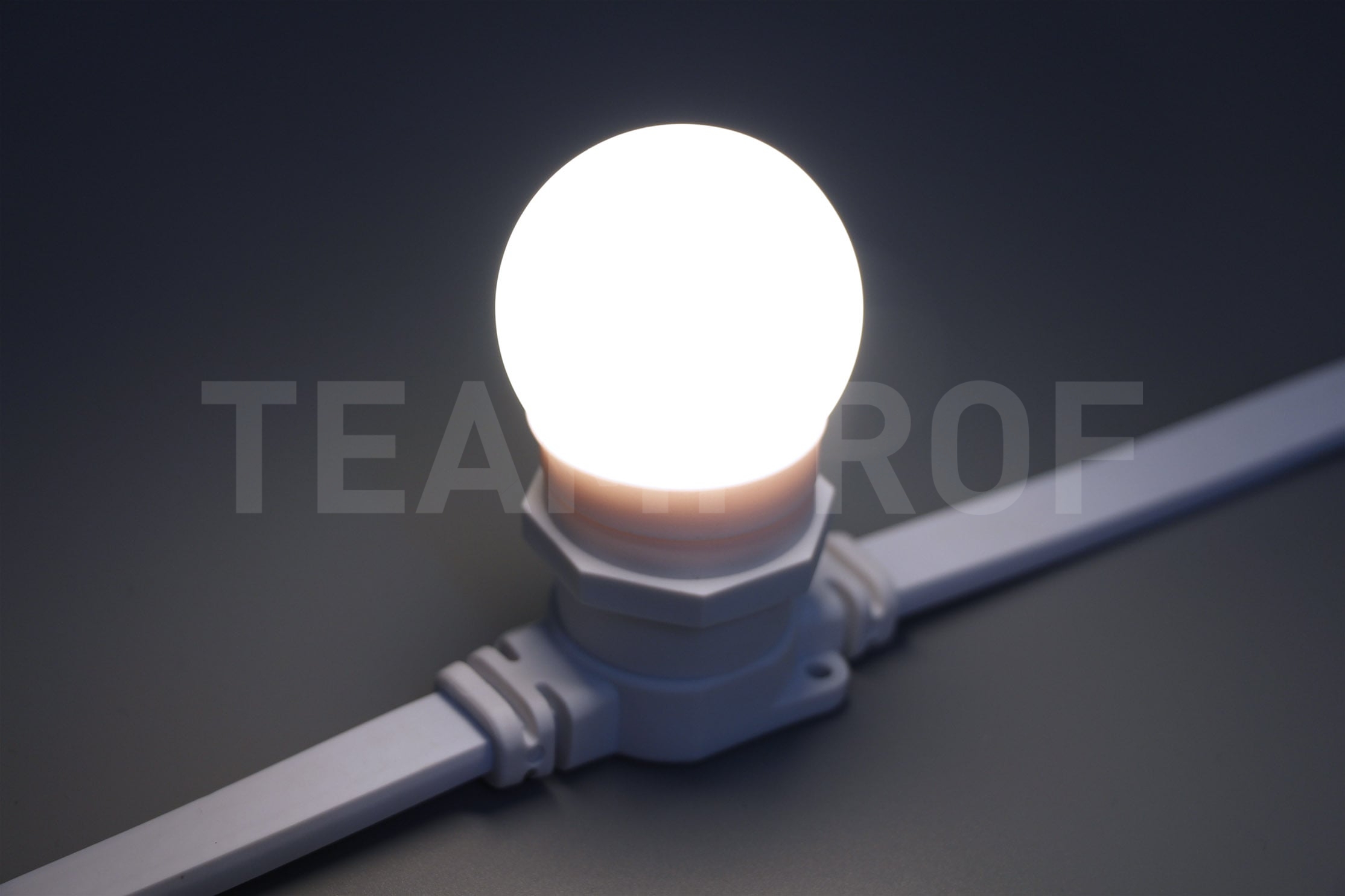 Светодиодная лампа для Белт-лайта TeamProf, 24В, 2 Вт, цоколь Е27, d=45 мм, белая TPF-B-E27-G45-24V-2W-W