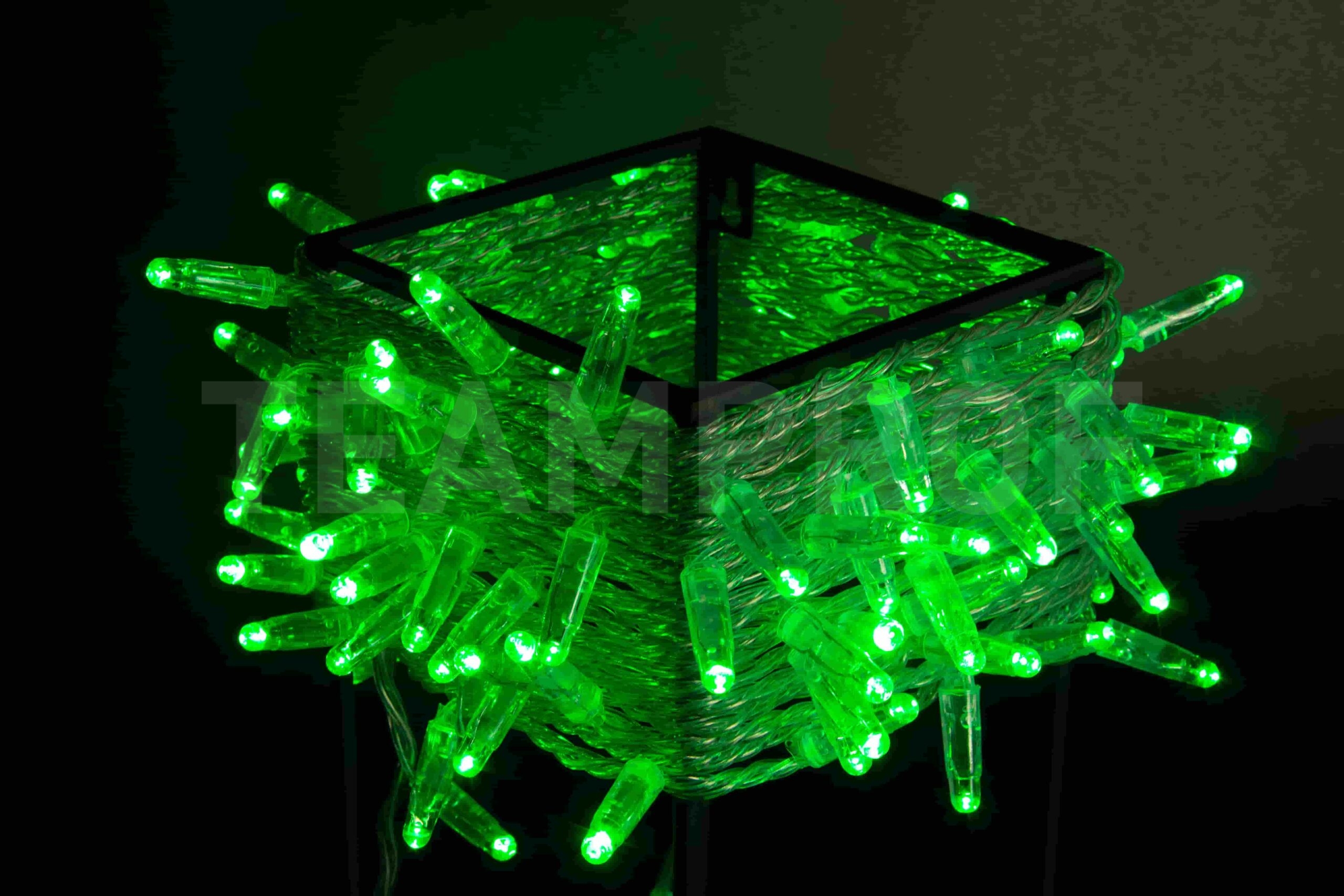 Светодиодная гирлянда TeamProf 10 м, 100 LED, 24В, соединяемая, влагозащитный колпачок, зелёная, прозрачный провод TPF-S10C-24V-CT/G