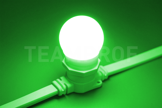 Светодиодная лампа для Белт-лайта TeamProf, 2 Вт, цоколь Е27, d=45 мм, зелёная TPF-B-E27-G45-2W-G